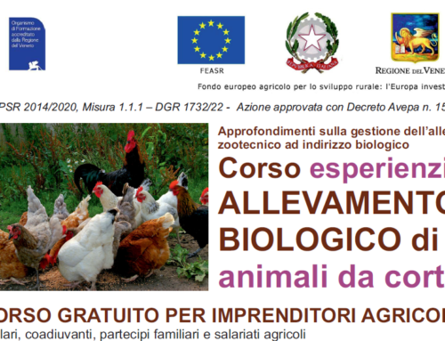 Corso esperienziale di ALLEVAMENTO BIOLOGICO di animali da cortile